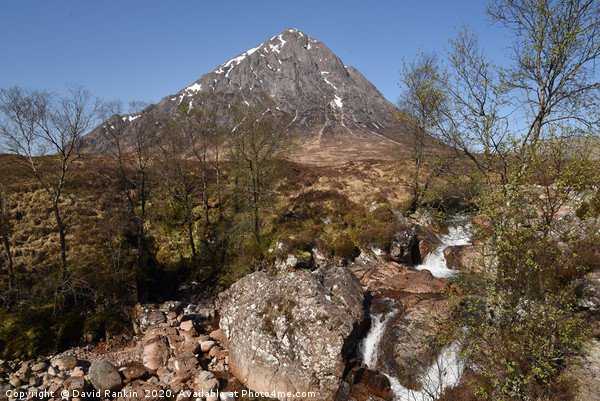 Buachaille Etive Mor , the Highlands , Scotland Picture Board by Photogold Prints