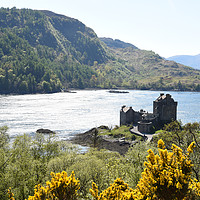Buy canvas prints of Eilean Donan Castle on a summer afternoon  in the  by Photogold Prints