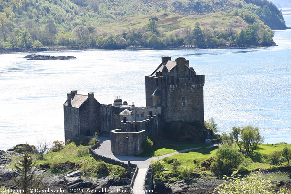 Eilean Donan Castle on a summer afternoon  in the  Picture Board by Photogold Prints