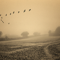 Buy canvas prints of  The clearing fog by John Baker