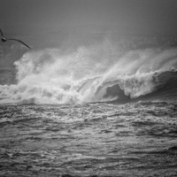 Buy canvas prints of  Wave Power by John Baker