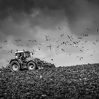 Buy canvas prints of Plough the fields and scatter  by John Baker