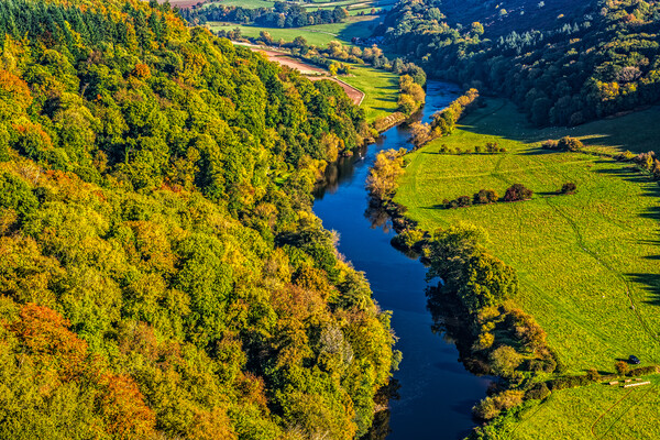 River Wye from Symonds Yat Rock Picture Board by David Ross