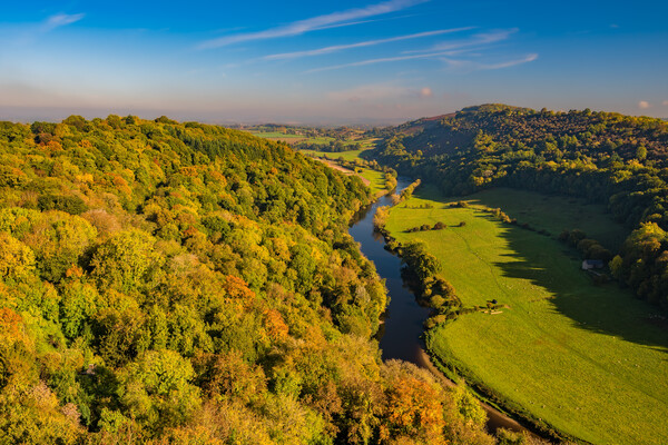 Symonds Yat and the River Wye in Autumn Picture Board by David Ross
