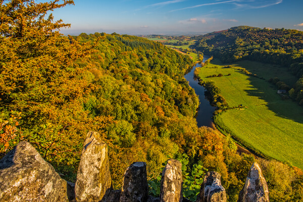 Symonds Yat Rock and the River Wye in Autumn Picture Board by David Ross