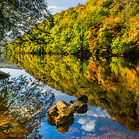 Buy canvas prints of River Wye in Autumn, Symonds Yat by David Ross