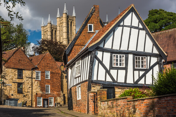 Crooked House and Lincoln Cathedral, Steep Hill, Lincoln Picture Board by David Ross