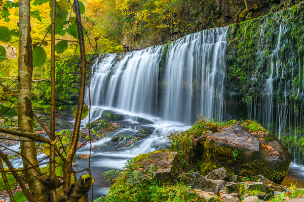 Sgwd Isaf Clun Gwyn Waterfall, Brecon Beacons, Wal Picture Board by David Ross