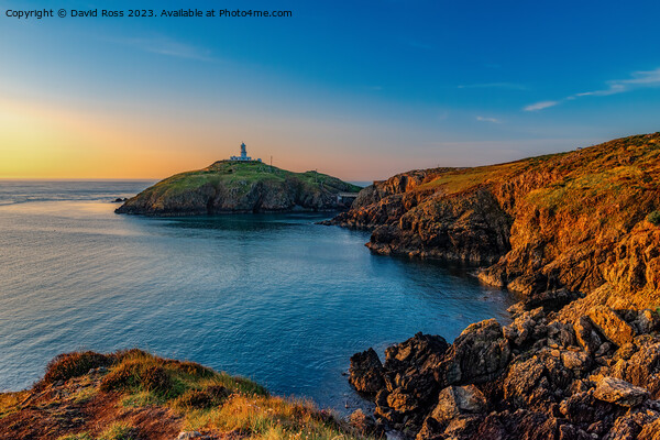 Evening Light, Strumble Head Picture Board by David Ross