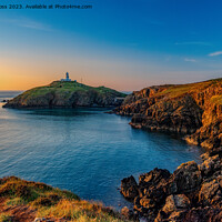 Buy canvas prints of Evening Light, Strumble Head by David Ross