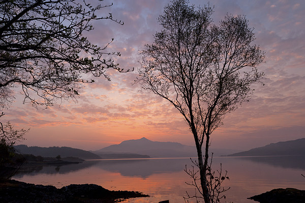 Loch Sunart at dawn, near Salen Picture Board by David Ross