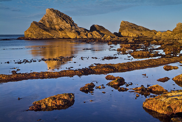 Mupe Bay Dorset Picture Board by David Ross