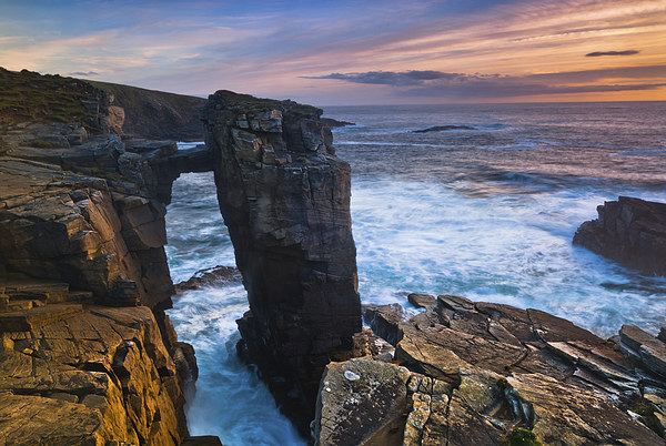 Sea Cliffs at Yesnaby, Orkney Picture Board by David Ross