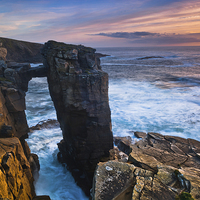 Buy canvas prints of Sea Cliffs at Yesnaby, Orkney by David Ross