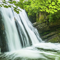 Buy canvas prints of Janet's Foss Waterfall, Gordale by David Ross