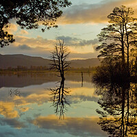 Buy canvas prints of Loch Mallachie, Cairngorms at Sunset by David Ross