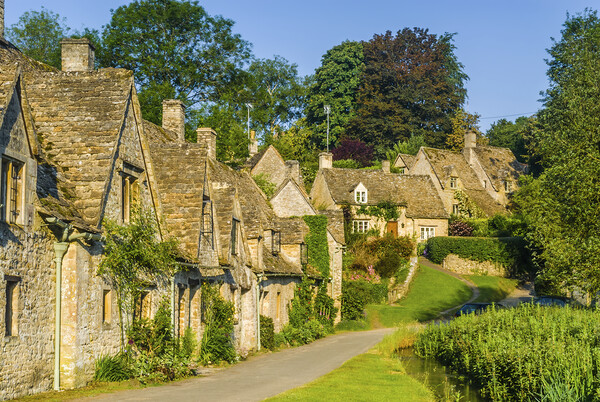 Arlington Row Cottages, Bibury Picture Board by David Ross