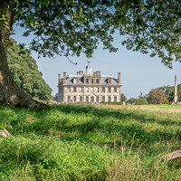 Buy canvas prints of Kingston Lacy by Sue Knight