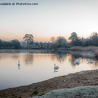 Buy canvas prints of Beaulieu Millpond, New Forest  by Sue Knight