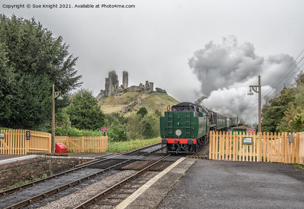Steam train with view of Corfe castle Picture Board by Sue Knight