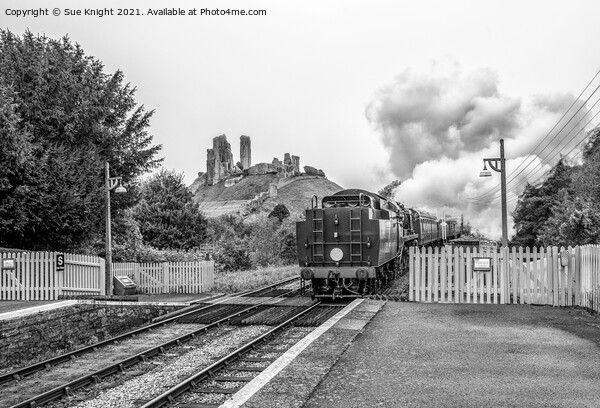 Steam train with Corfe Castle in the background Picture Board by Sue Knight