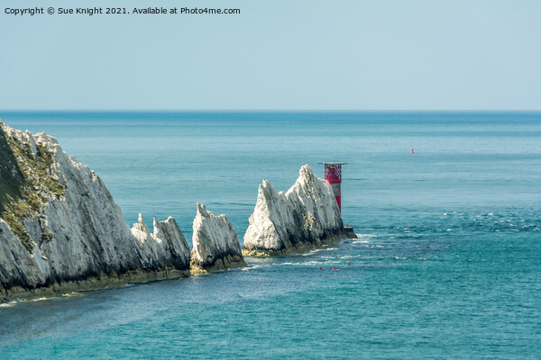 The needles, Isle of Wight Picture Board by Sue Knight