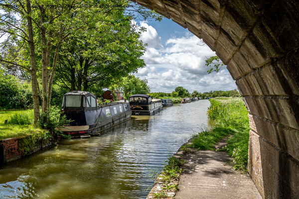 Narrowboats at Ladies bridge, Kennet & Avon canal Picture Board by Sue Knight