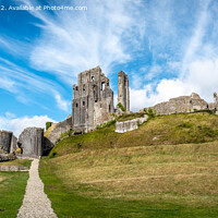 Buy canvas prints of A view of Corfe Castle, Dorset by Sue Knight