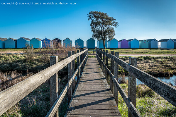 Beach Huts At Calshot Picture Board by Sue Knight
