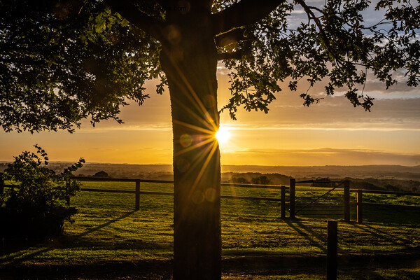 A Golden Sunset Over The Blackmore Vale Valley Picture Board by Sue Knight
