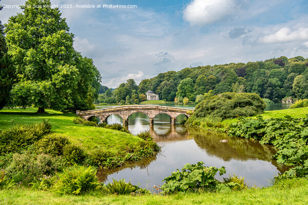 A view across the lake, Stourhead, Wiltshire Picture Board by Sue Knight