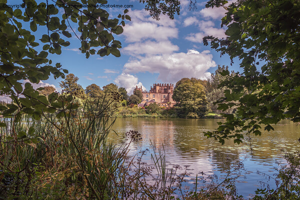 A view of Sherborne Castle across the lake Picture Board by Sue Knight