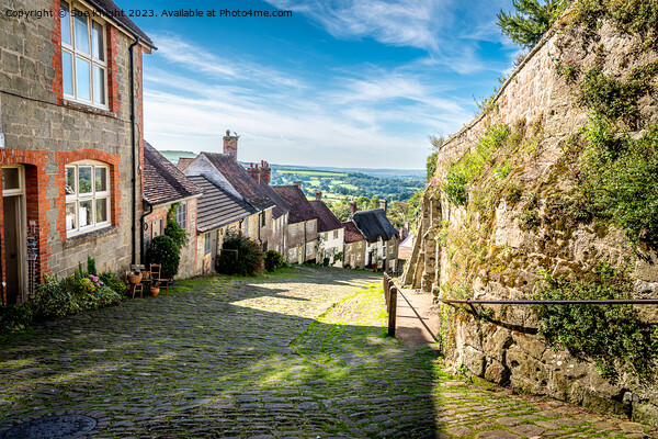 Gold Hill, Shaftesbury Picture Board by Sue Knight