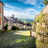 Buy canvas prints of Gold Hill, Shaftesbury by Sue Knight