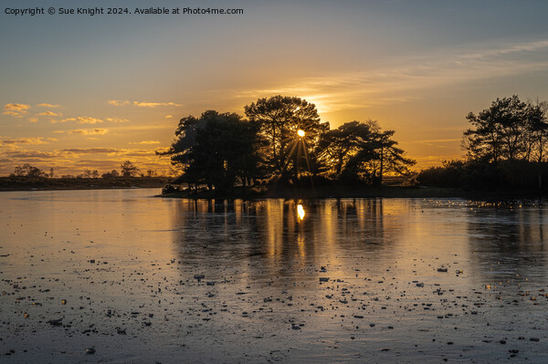 Icy sunset at Hatchet Pond Picture Board by Sue Knight