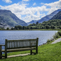 Buy canvas prints of  The Thinking Bench by Sue Knight