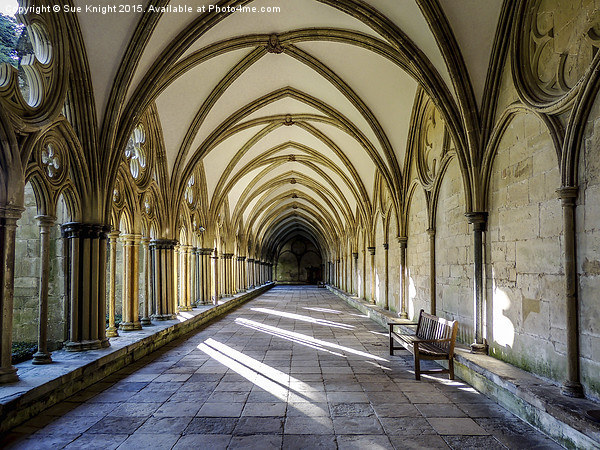  The cloisters at Salisbury cathedral,Wiltshire  Picture Board by Sue Knight