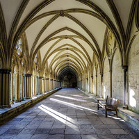 Buy canvas prints of  The cloisters at Salisbury cathedral,Wiltshire  by Sue Knight