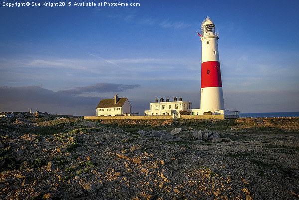 The Lighthouse at Portland Bill Picture Board by Sue Knight