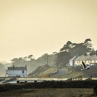 Buy canvas prints of  Coastguard cottages and boat house at Lepe, Hamps by Sue Knight