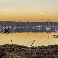 Buy canvas prints of  View across the Beaulieu River by Sue Knight