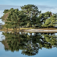 Buy canvas prints of  Hatchet Pond by Sue Knight