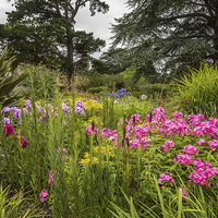 Buy canvas prints of  Herbaceous border at Exbury Gardens by Sue Knight