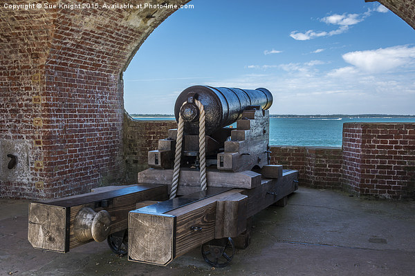  Cannon at Fort Victoria,Isle of Wight Picture Board by Sue Knight