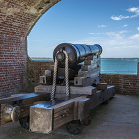 Buy canvas prints of  Cannon at Fort Victoria,Isle of Wight by Sue Knight