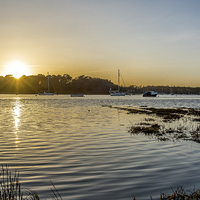 Buy canvas prints of  Beaulieu River sunset by Sue Knight