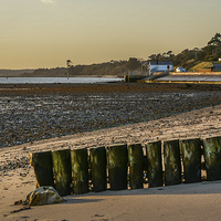 Buy canvas prints of  Lepe beach as the sun was starting to set by Sue Knight