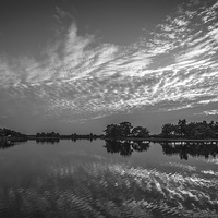 Buy canvas prints of  Reflections of Hatchet Pond,New Forest in b&w by Sue Knight
