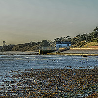 Buy canvas prints of Tide out at Lepe,Hampshire by Sue Knight