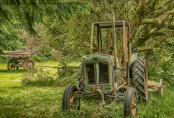 Abandoned Tractor amongst woodland Picture Board by Sue Knight